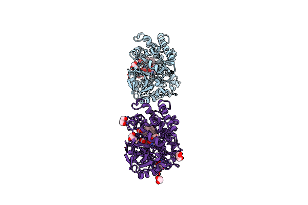 5D40 image
