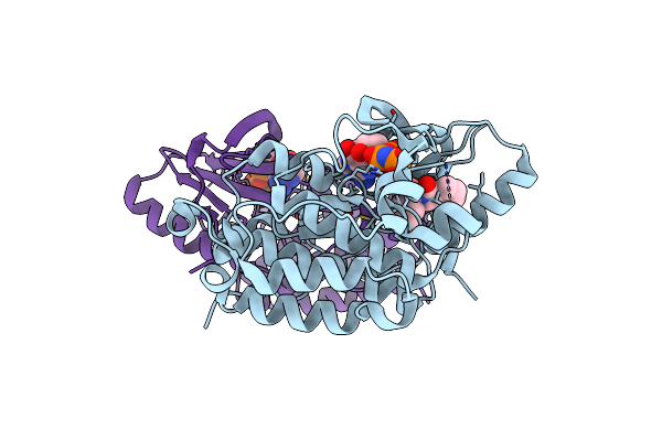 5D41 image