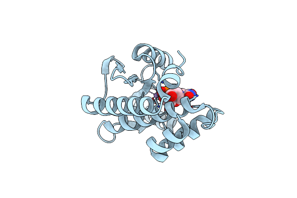 5D42 image