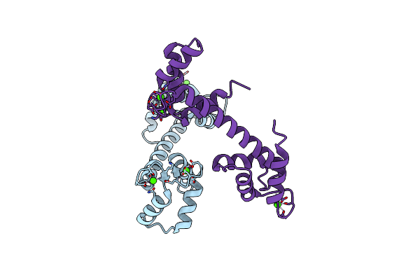 5D43 image