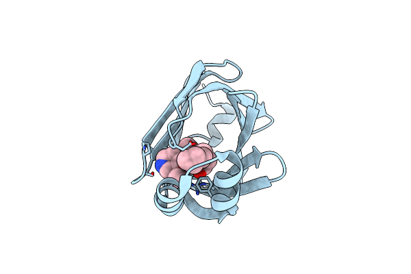 5D47 image