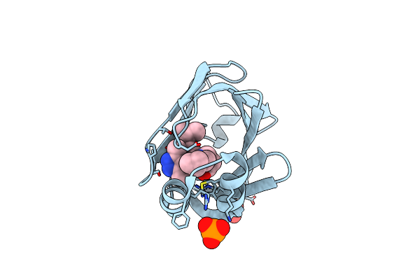 5D48 image