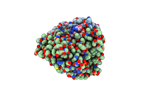 5D4B image