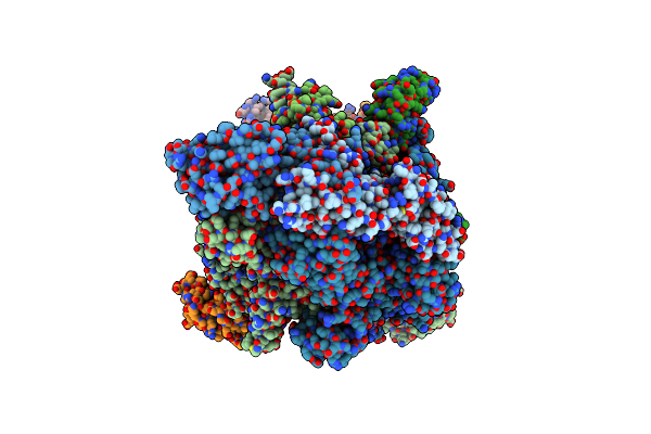 5D4D image