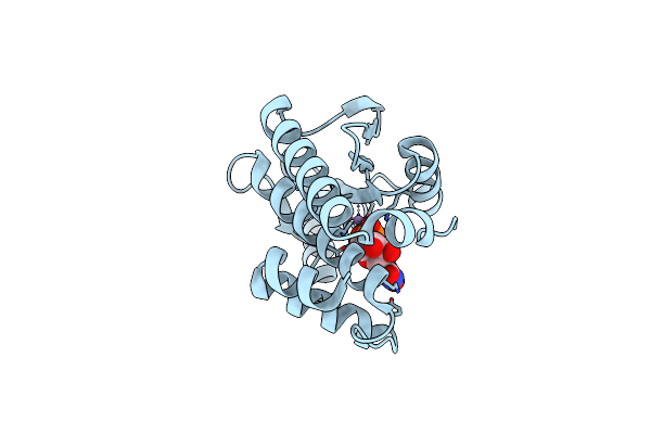 5D4G image