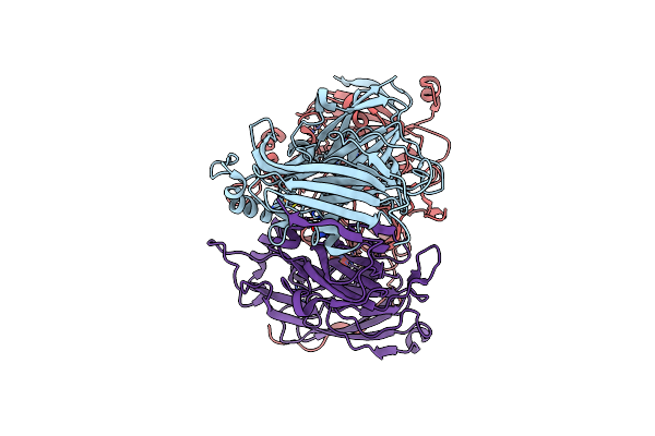 5D4I image