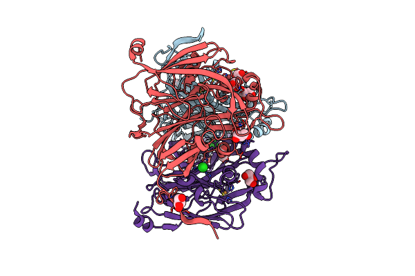 5D4J image