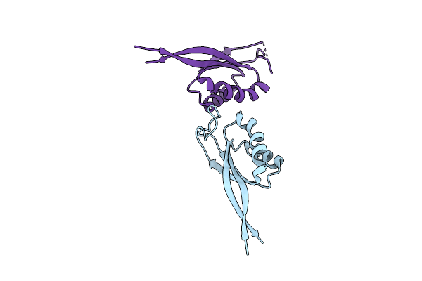 5D4L image