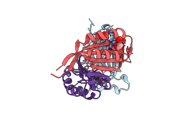 5D4O image