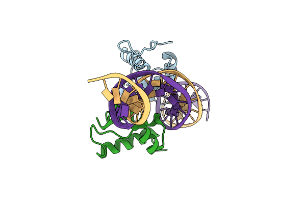 5D4R image