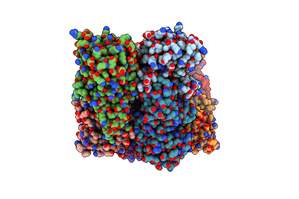 5D4T image