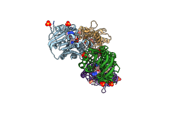 5D4U image