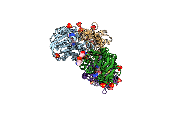5D4V image