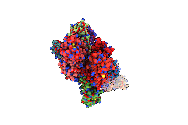 5D4Z image