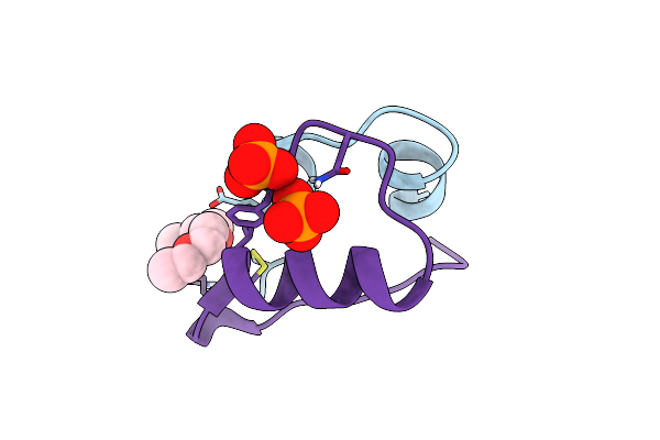 5D54 image