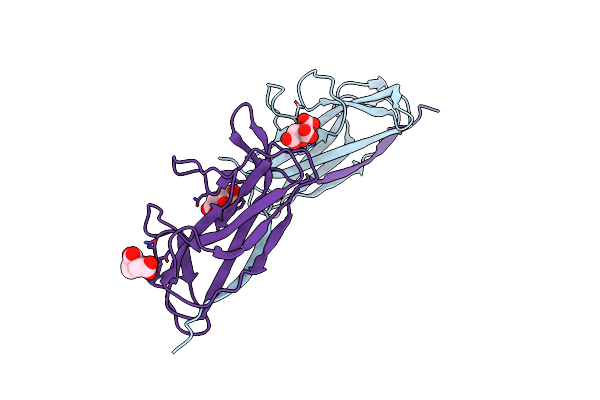 5D55 image