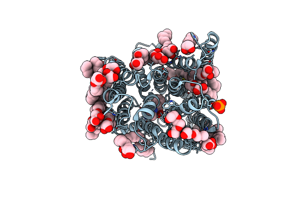 5D58 image