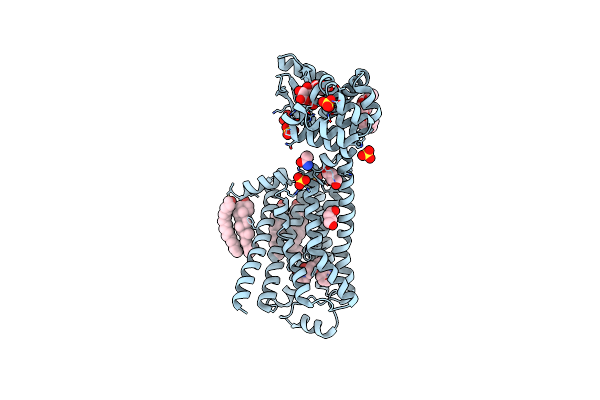 5D5A image