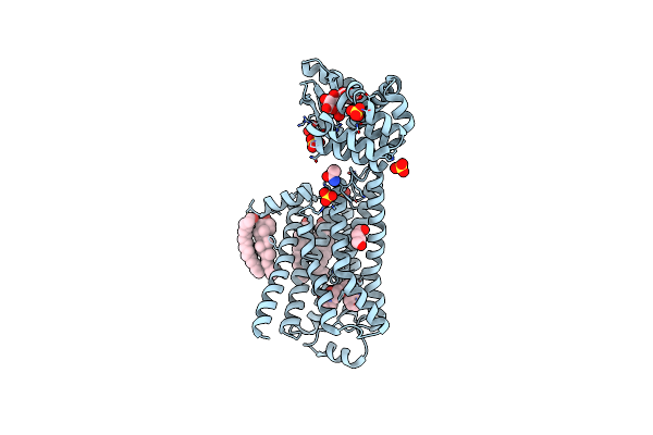 5D5B image