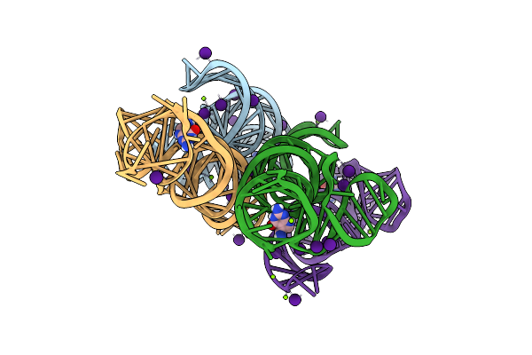 5D5L image