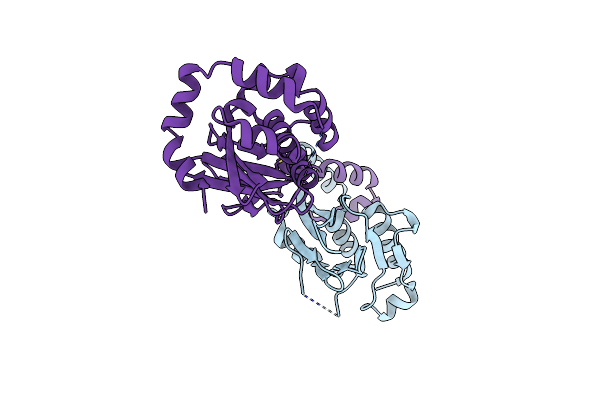 5D5N image