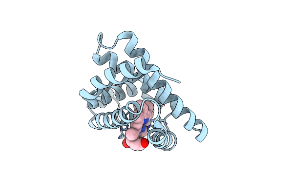 5D5R image
