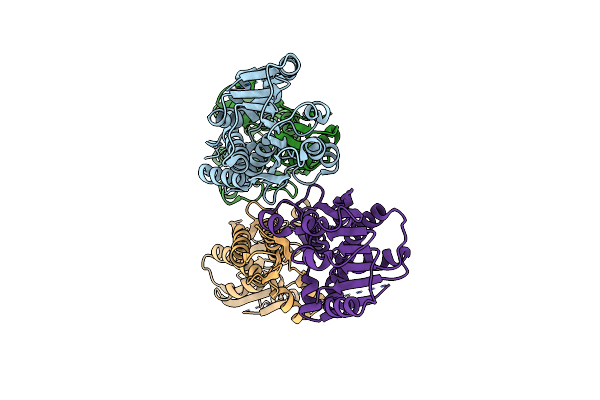 5D5T image