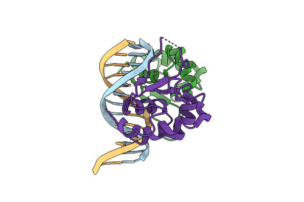 5D5X image