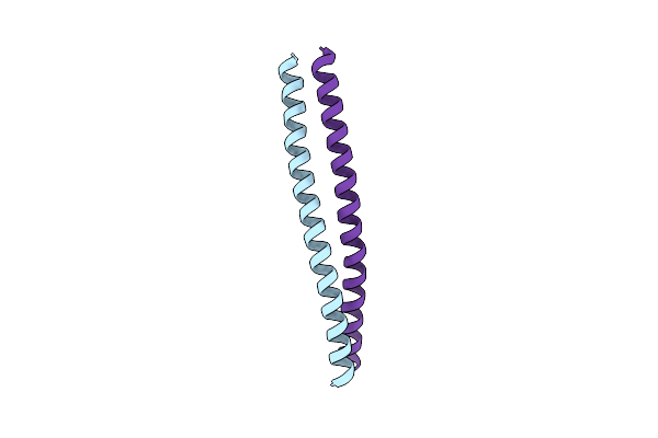 5D5Y image