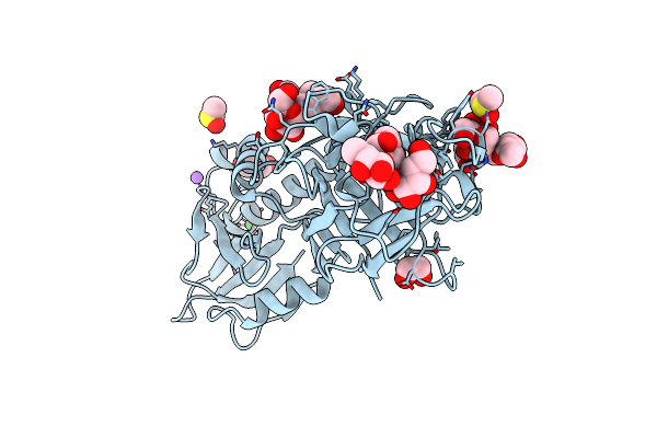 5D63 image