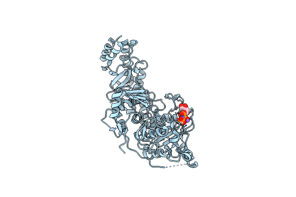 5D6A image
