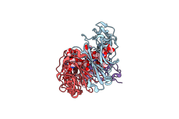5D6D image