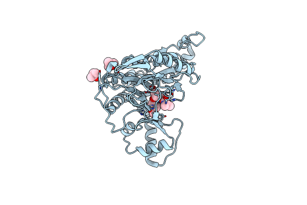 5D6E image