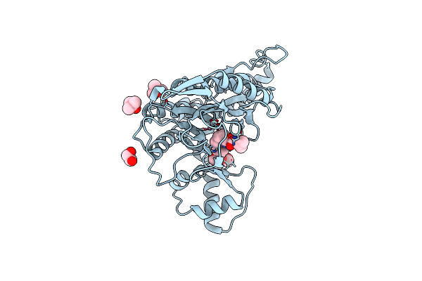 5D6F image