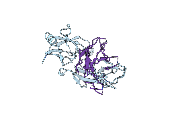 5D6H image