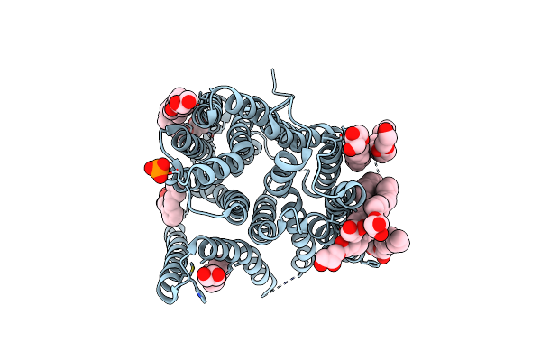 5D6K image