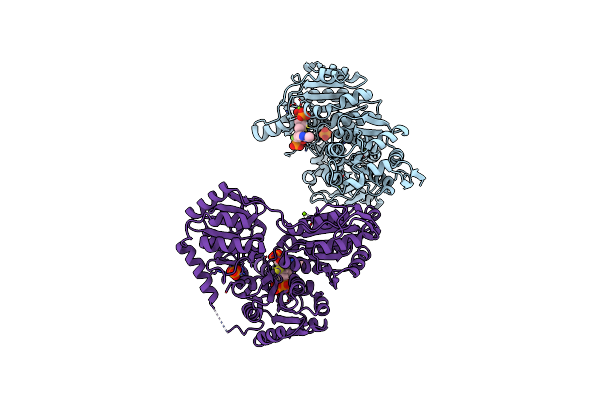 5D6R image