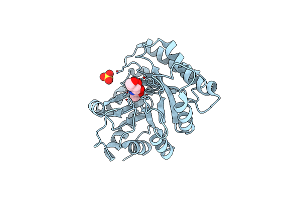 5D6T image
