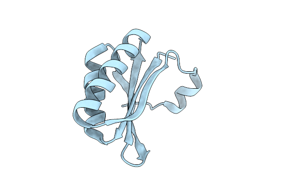 5D6V image
