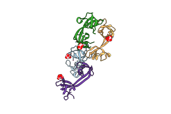 5D6W image