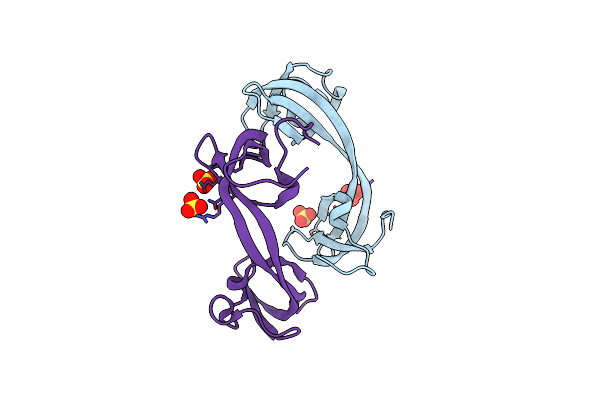 5D6X image