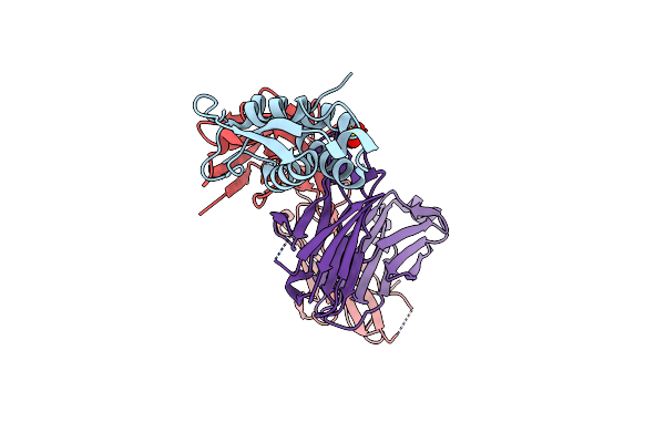 5D70 image
