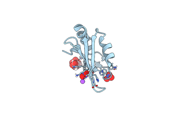 5D77 image
