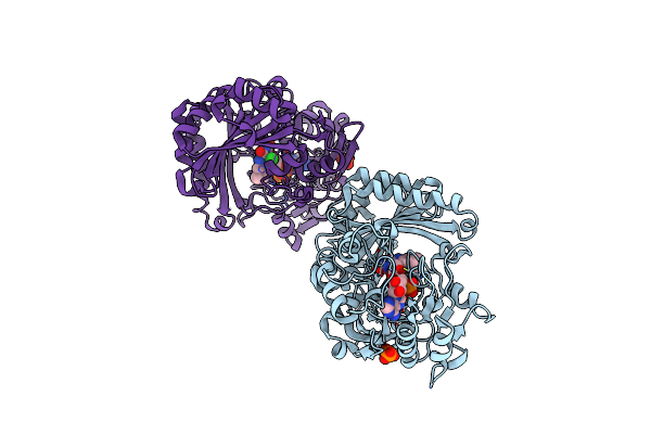 5D79 image