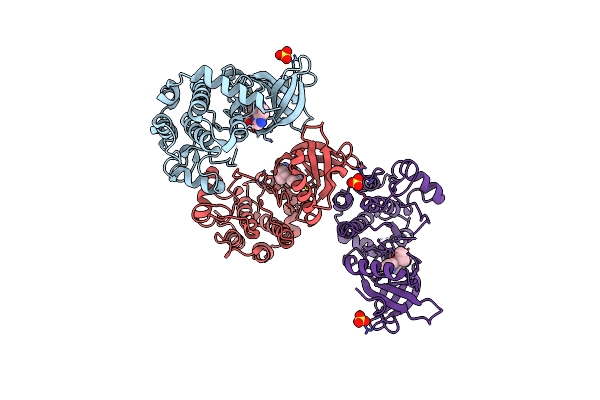 5D7A image