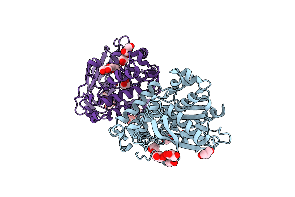 5D7B image