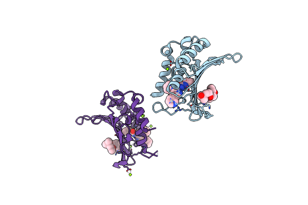 5D7C image
