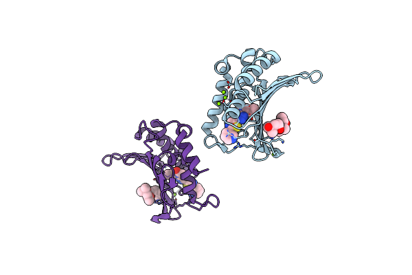 5D7D image
