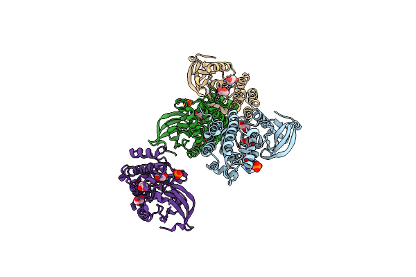 5D7V image