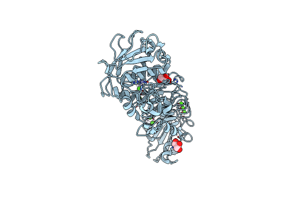 5D7W image